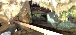 Crawl Space Encapsulation and Structural Reinforcement - Aurora, OR