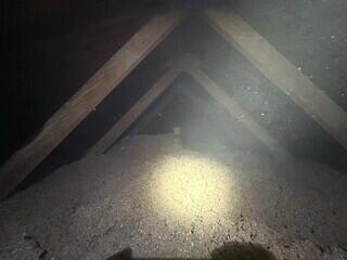 Cellulose Install