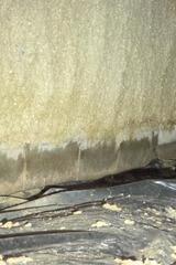 Moisture Damage