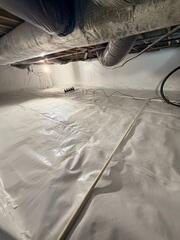 CleanSpace