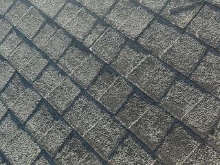 Granule Loss