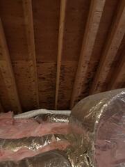 Attic Inspection