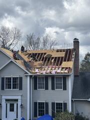 Damaged Plywood Removed