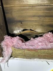 Attic Inspection