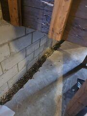 Trench Line