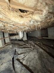 Mold Removal and Encapsulation in Brentwood, TN