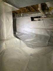 CleanSpace