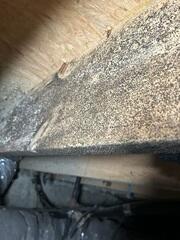 Mold Growth