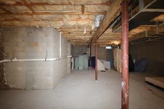 Basement Before