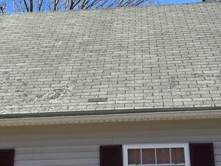 Missing and Damaged Shingles