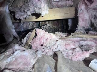Crawl Space Encapsulated in London, AR