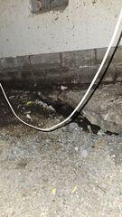 Moisture in Your Crawlspace
