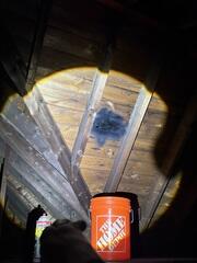 Evidence of an Active Leak