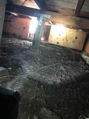 Crawl Space Before Encapsulation and Support Work