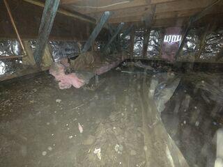 Dirty, Musty Crawl Space