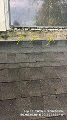 Window Trim Rot