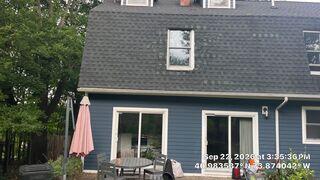 Damaged Shingles