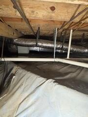 Mold and Mildew Issues