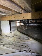 Can a moldy crawl space make me sick?