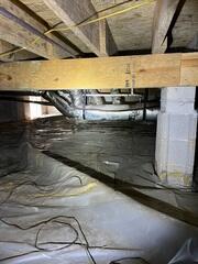 How Does Mold Growth Happen