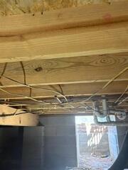 Treating Mold Growth