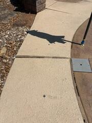 Unleveled Concrete with Broken Seal
