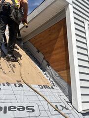 Protecting and Repairing the Dormers