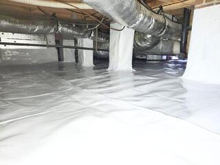 CleanSpace