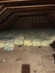 The insulation was saturated with mice urine and their feces.