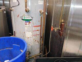 There was so much grease built up all over the kitchen equipment and other areas. Not only that, crawling around the kitchen equipment was a bunch of cockroaches.