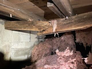 Repairing Sagging Floors in Phippsburg, Maine Crawl Space
