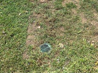 LawnScape Installed