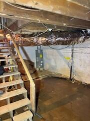 Basement During Inspection