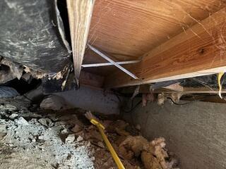 Crawlspace Before