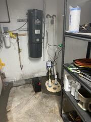 TripleSafe Sump Pumps