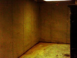 Dark, Damp Basement
