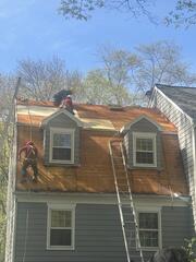 Installing New CDX Plywood