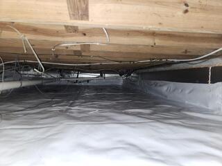 CleanSpace Separates the Home from the Earth