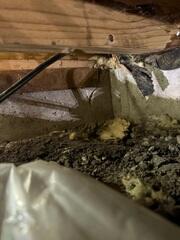 Crawlspace Full of Debris