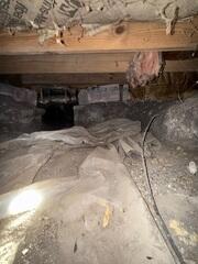 Your Crawlspace is in Need of a Fresh Look