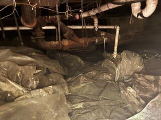 Elevated levels of moisture and humidity were found in the homeowner's crawl space during an inspection by an LRE Design Specialist.