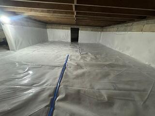 CleanSpace Moisture Barrier