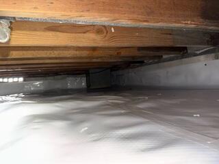CleanSpace Moisture Barrier