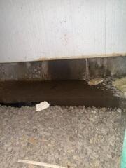 Wet Crawlspace
