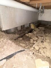 Crawlspace Before Encapsulation