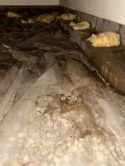 Insulation in Your Crawlspace