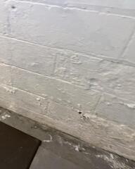 Stained Basement Floors