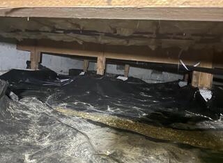 Musty Crawl Space