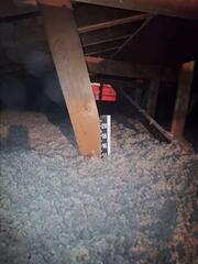 Insulated attic in Endicott, NY