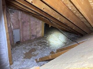 Old and Sparse Insulation